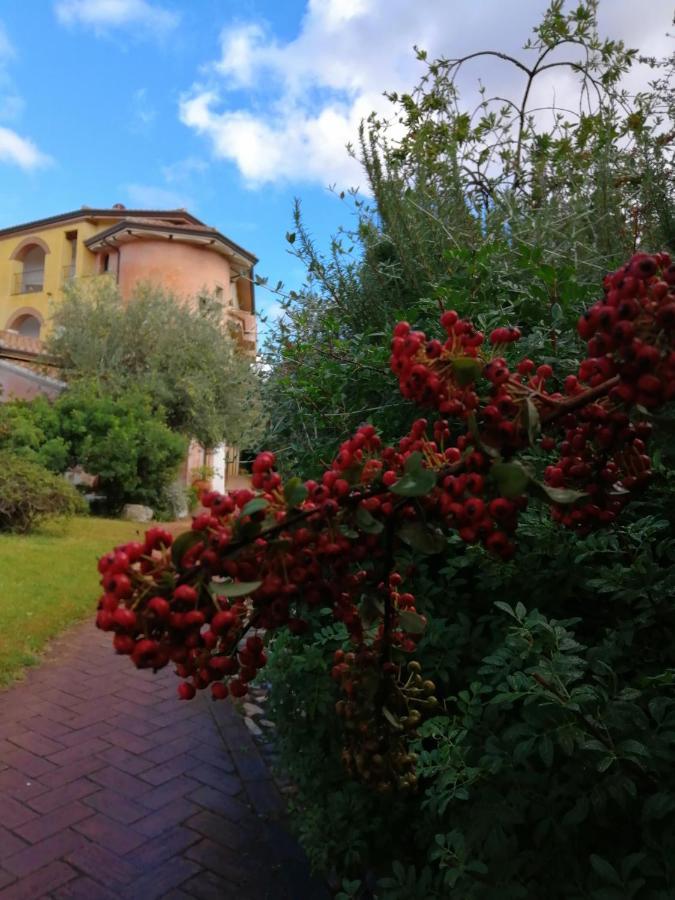 Locanda Tipica Sa Corte Oliena Eksteriør billede